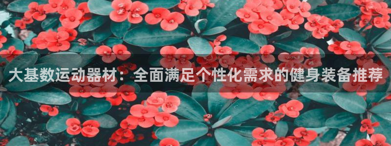 凯捷体育软件：大基数运动器材：全面满足个性化需求的健
