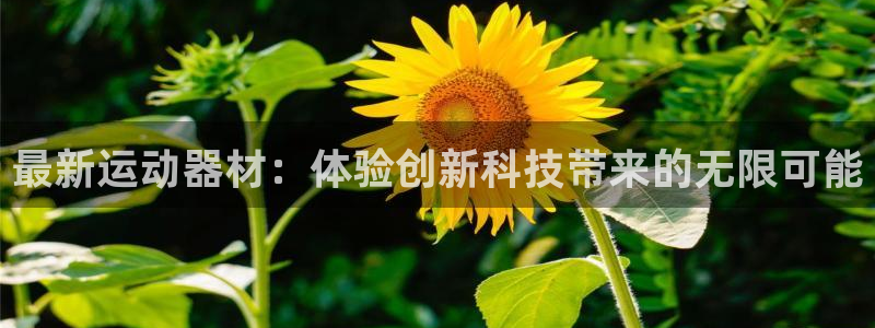 凯捷体育：最新运动器材：体验创新科技带来的无限可能