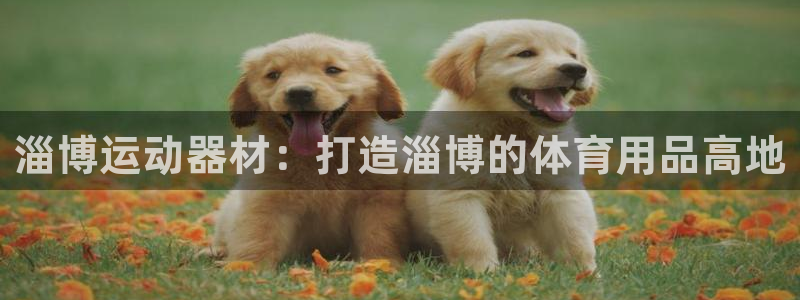 海南凯捷体育发展怎么样：淄博运动器材：打造淄博的体育