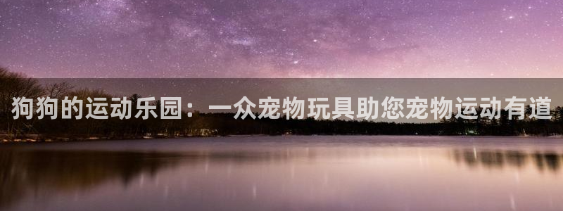 凯捷体育平台：狗狗的运动乐园：一众宠物玩具助您宠物运动有道