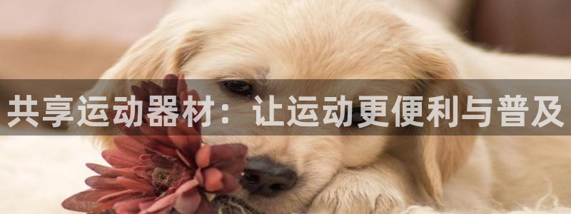 凯捷体育招商电话：共享运动器材：让运动更便利与普及
