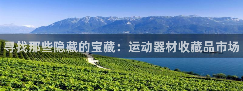 凯捷体育招商电话：寻找那些隐藏的宝藏：运动器材收藏品市场