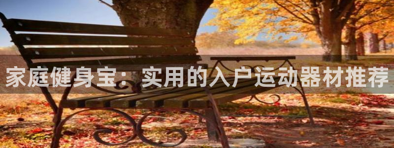 凯捷体育招商电话是多少：家庭健身宝：实用的入户运动器材推荐