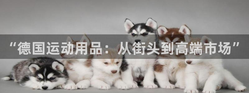 凯捷体育招商电话号码是多少啊：“德国运动用品：从街头
