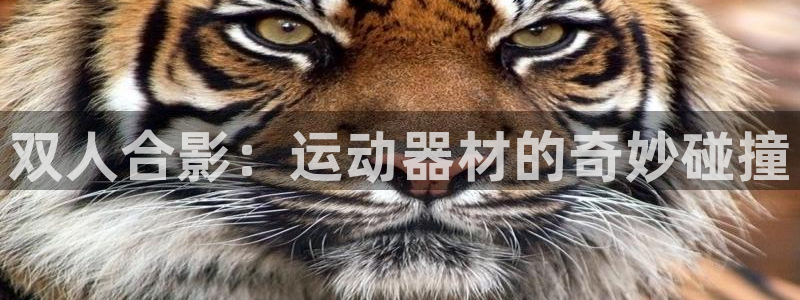 凯捷体育招商电话号码：双人合影：运动器材的奇妙碰撞