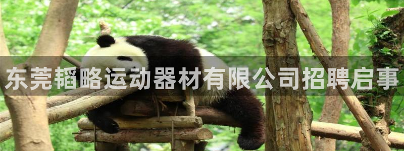 凯捷体育平台注册要钱吗：东莞韬略运动器材有限公司招聘