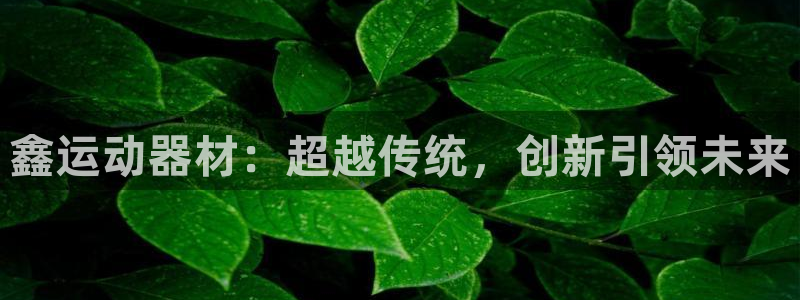 意昂集团官网：鑫运动器材：超越传统，创新引领未来