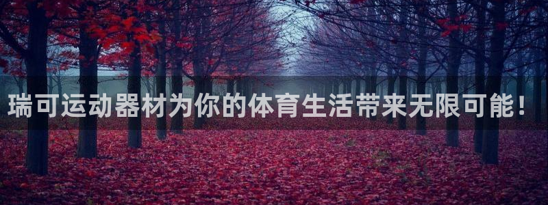 凯捷体育官网：瑞可运动器材为你的体育生活带来无限可能