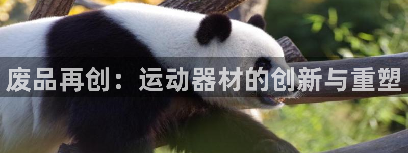 凯捷体育招商电话号码是多少：废品再创：运动器材的创新