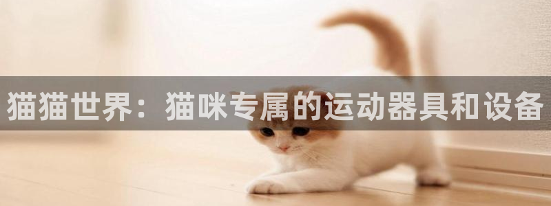 凯捷体育招商电话是多少：猫猫世界：猫咪专属的运动器具和设备