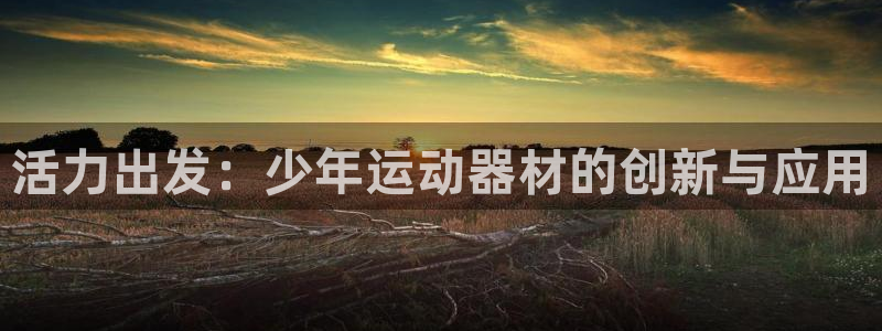凯捷体育娱乐首页官网下载：活力出发：少年运动器材的创新与应用