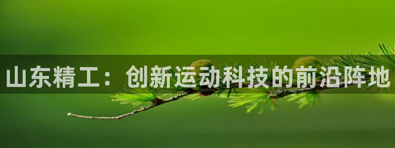 意昂集团官网：山东精工：创新运动科技的前沿阵地