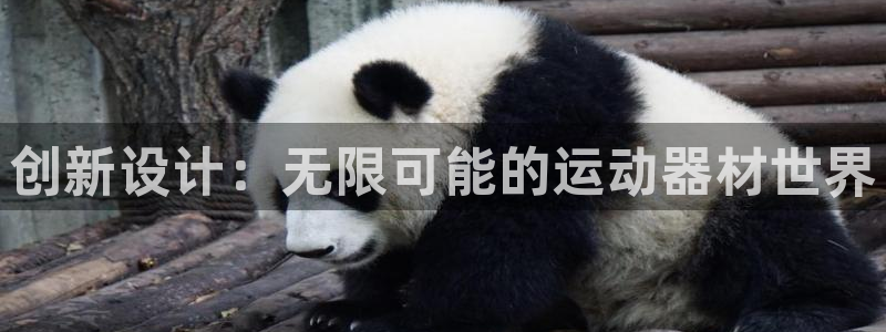 凯捷体育娱乐是那个系列的台子：创新设计：无限可能的运动器材世