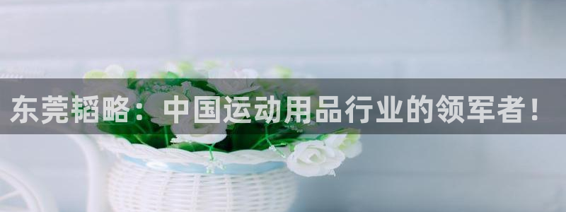 凯捷体育集团E.ON：东莞韬略：中国运动用品行业的领军者！