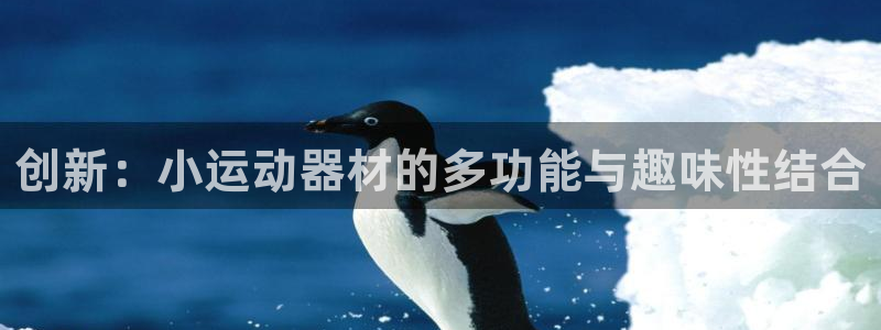 凯捷体育平台注册要钱吗：创新：小运动器材的多功能与趣