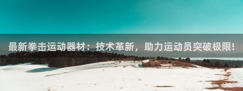 凯捷体育新能源：最新拳击运动器材：技术革新，助力运动