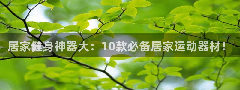 凯捷体育软件：居家健身神器大：10款必备居家运动器材