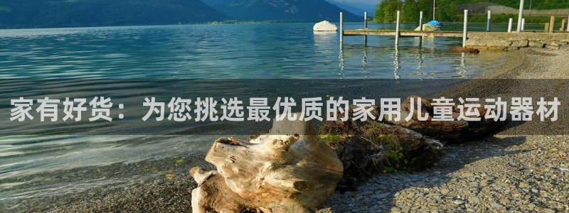 凯捷体育开户：家有好货：为您挑选最优质的家用儿童运动