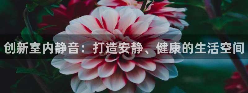 凯捷体育招商电话是多少号码：创新室内静音：打造安静、健康的生