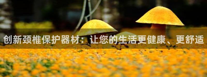 凯捷体育开户：创新颈椎保护器材：让您的生活更健康、更