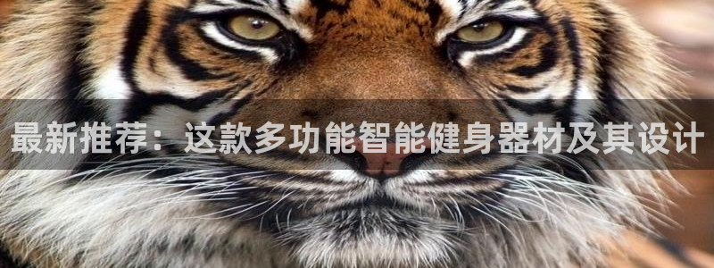 凯捷体育平台假的吗是真的吗吗：最新推荐：这款多功能智