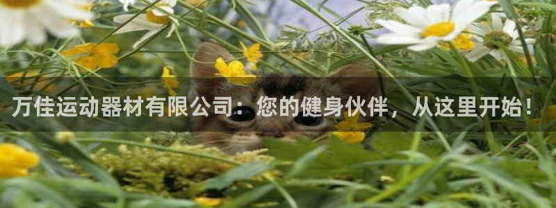 凯捷体育招商电话号码是多少号：万佳运动器材有限公司：