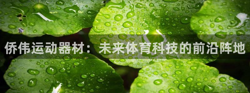 凯捷体育官方：侨伟运动器材：未来体育科技的前沿阵地