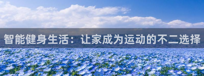 德国凯捷体育集团：智能健身生活：让家成为运动的不二选