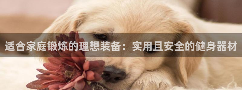 凯捷体育科技：适合家庭锻炼的理想装备：实用且安全的健