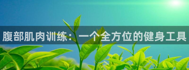 凯捷体育平台注册流程图：腹部肌肉训练：一个全方位的健