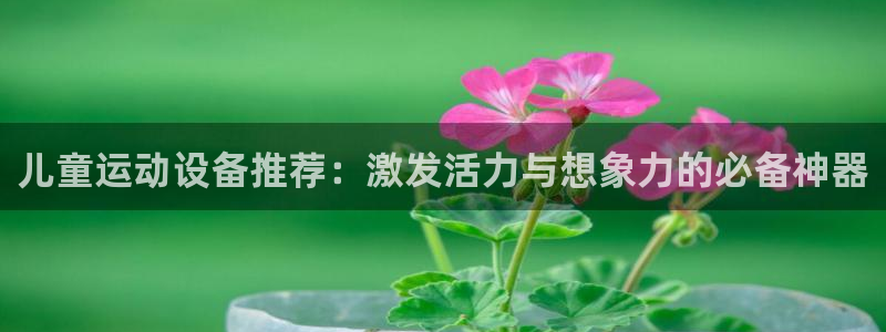 凯捷体育官方客服电话：儿童运动设备推荐：激发活力与想