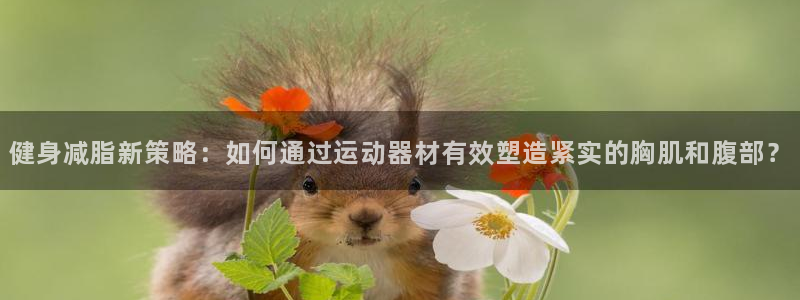 凯捷体育招商电话：健身减脂新策略：如何通过运动器材有