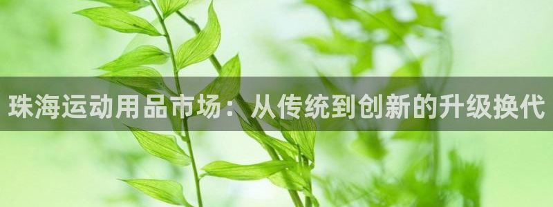 凯捷体育开户：珠海运动用品市场：从传统到创新的升级换