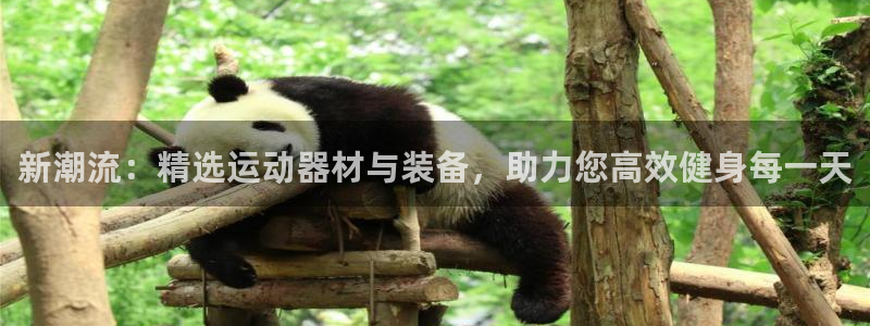凯捷体育娱乐首页网站大全