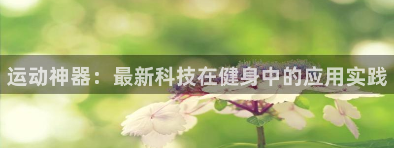 凯捷体育是干嘛的公司：运动神器：最新科技在健身中的应用实践