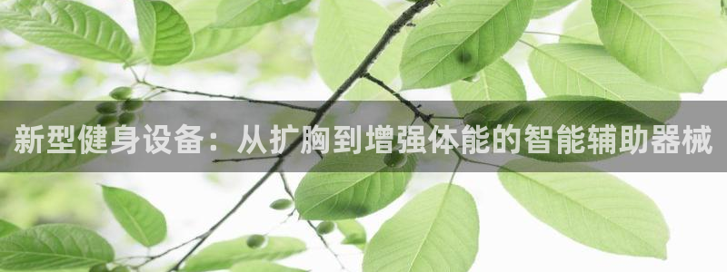 凯捷体育是干嘛的公司：新型健身设备：从扩胸到增强体能