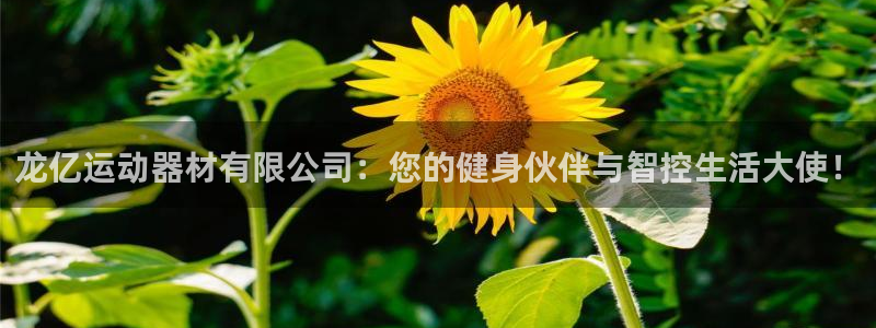凯捷体育开户：龙亿运动器材有限公司：您的健身伙伴与智控生活大