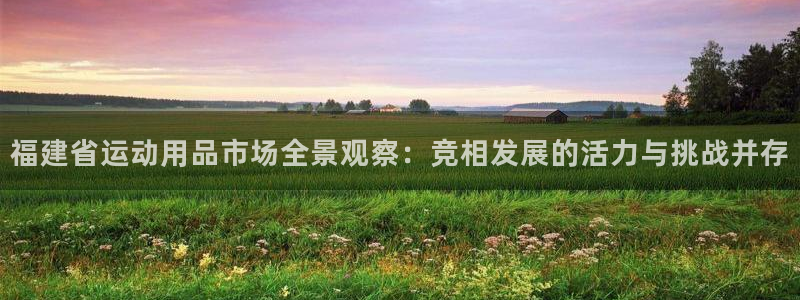 凯捷体育娱乐是那个系列的台子：福建省运动用品市场全景观察：竞