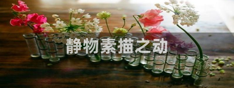 凯捷体育集团官网网址：静物素描之动