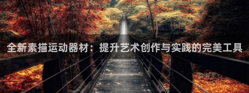 凯捷体育代理：全新素描运动器材：提升艺术创作与实践的完美工具